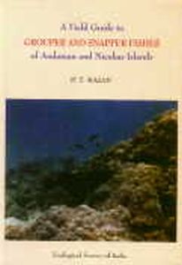 A Field Guide to Grouper and Snapper Fishes of Andaman and Nicobar Islands (Family : Serranidae, Subfamily : Epinephelinae and Family : Lutjanidae)/P.T. Rajan
