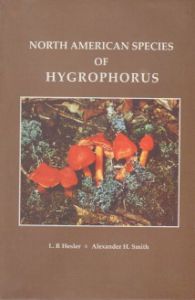 North American Species of Hygrophorus