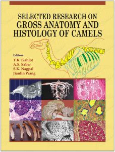 Selected Research on Gross Anatomy and Histology of Camels