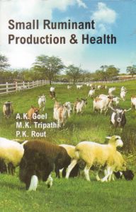 Small Ruminant : Production and Health