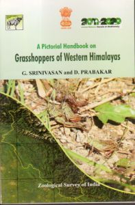 A Pictorial Handbook on Grasshoppers of Western Himalayas