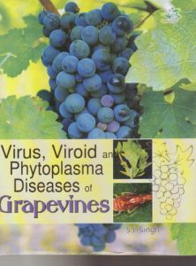 Virus Viroid and Phytoplasma Diseases of Grapevines