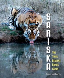 Sariska : The Tiger Reserve Roars Again 