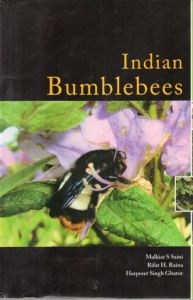 Indian Bumblebees