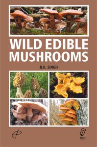 Wild Edible Mushrooms 