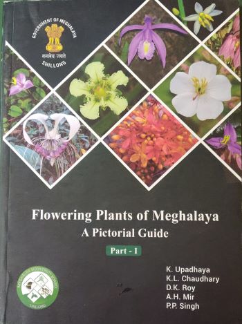 Flowering Plants of Meghalaya: A Pictorial Guide : Part 1