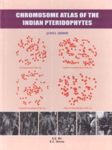 Chromosome Atlas of the Indian Pteridophytes (1951-2009)